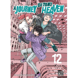 A Journey beyond Heaven T12