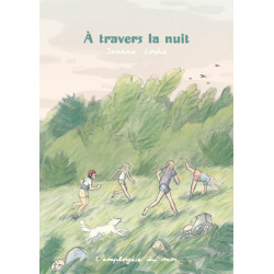 À travers la nuit
