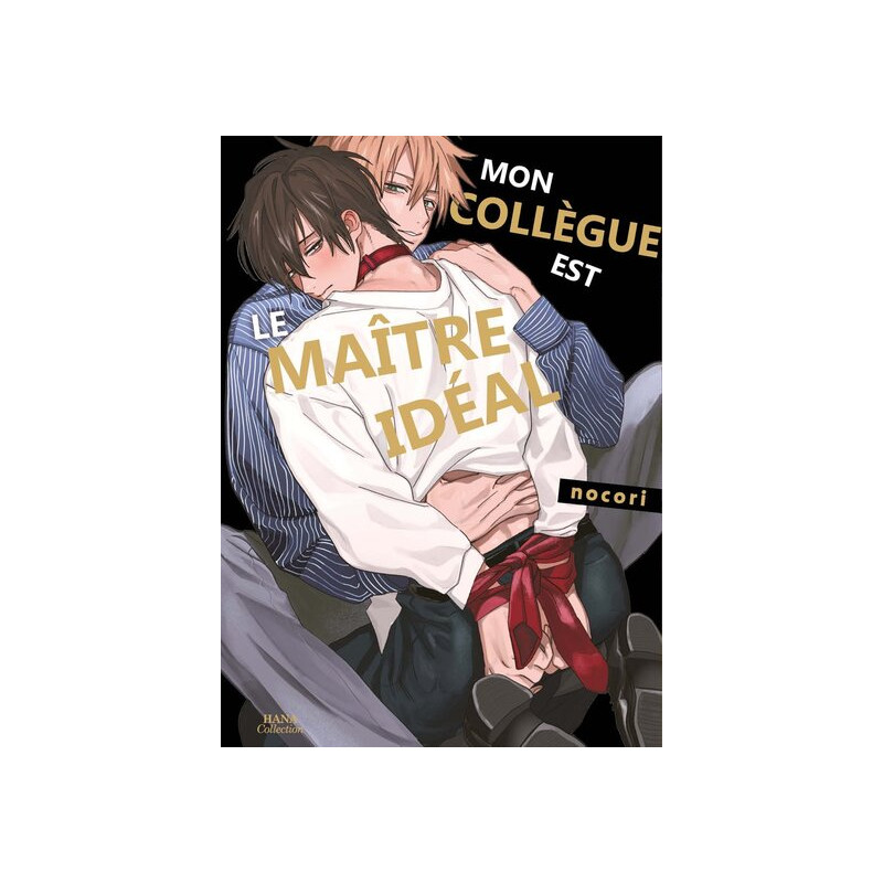 Mon collègue est le maître idéal