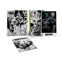 1 coffret Batman Silence 2...