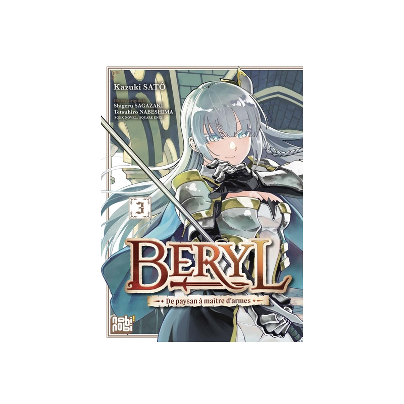 Beryl : de paysan à maître d'armes T03