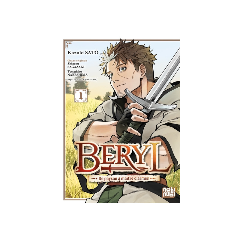 Beryl : de paysan à maître d'armes T01