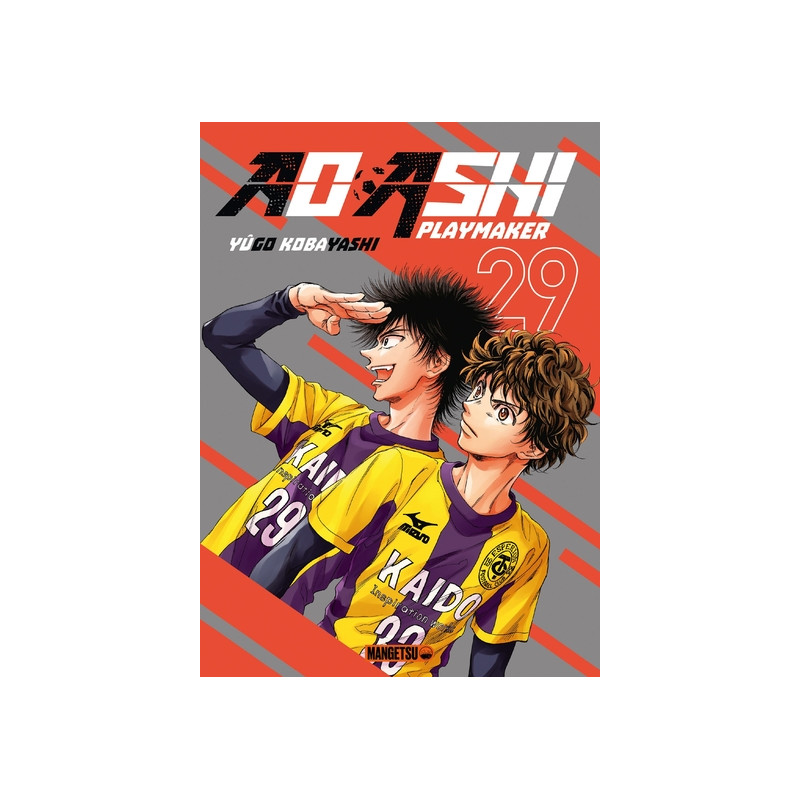 AO ASHI T29