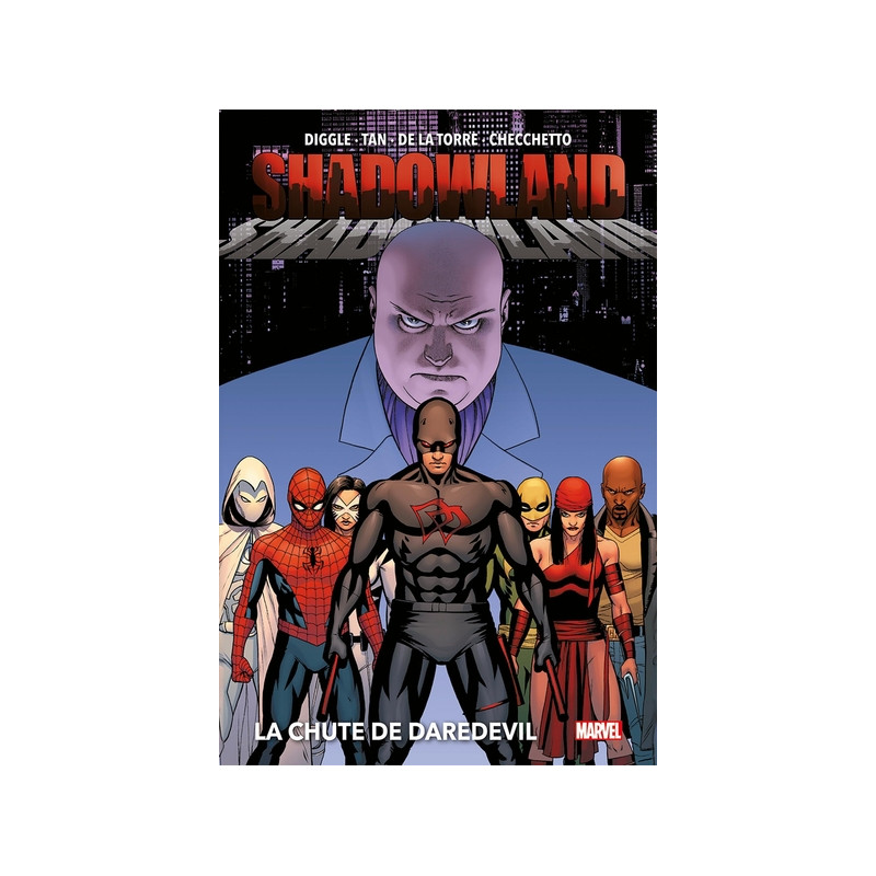 Shadowland : La chute de Daredevil (Nouvelle édition)