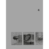 À partir de n°4