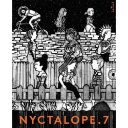Nyctalope 7