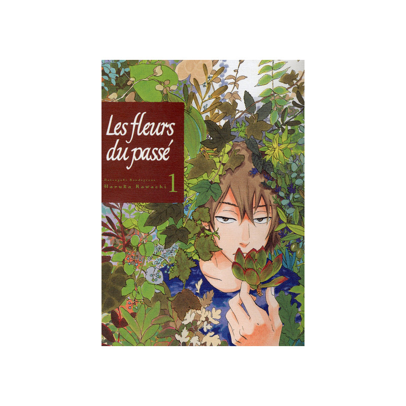 Les fleurs du passé T01