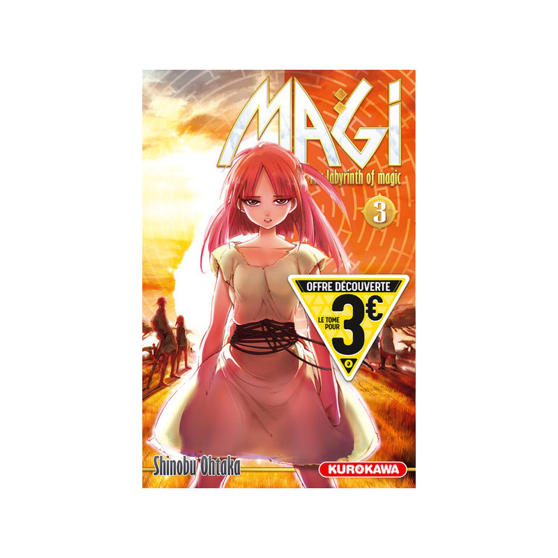 MAGI - The Labyrinth of Magic - tome 3