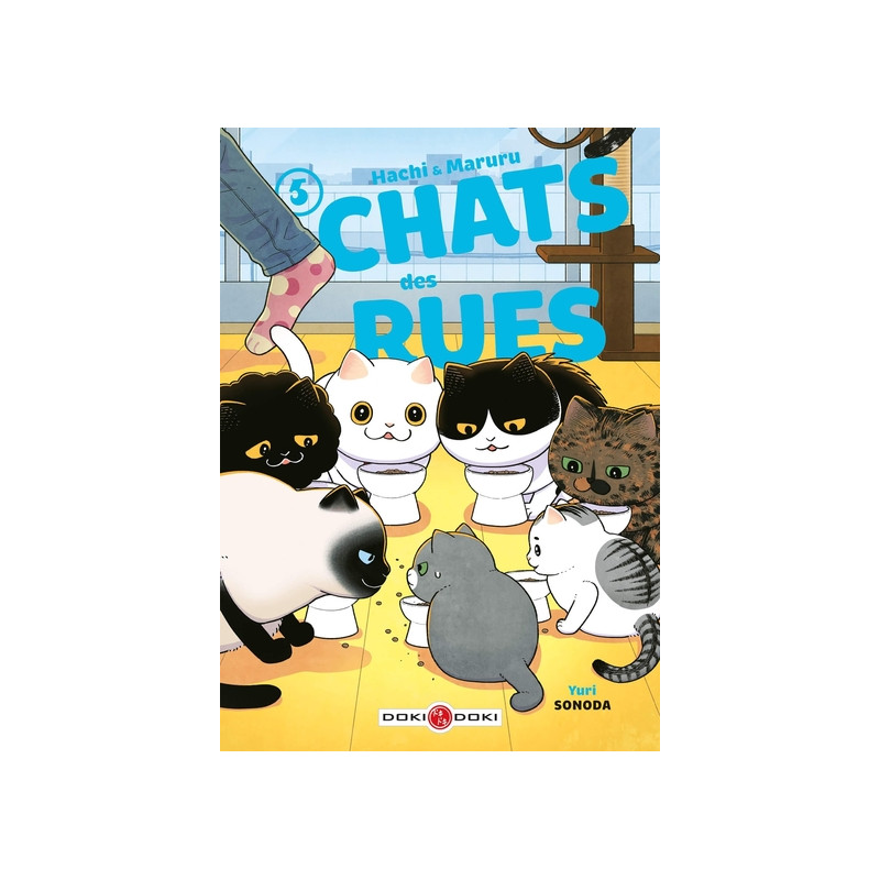 Hachi & Maruru - Chats des rues - vol. 05