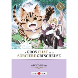 Le Gros Chat et la Sorcière...