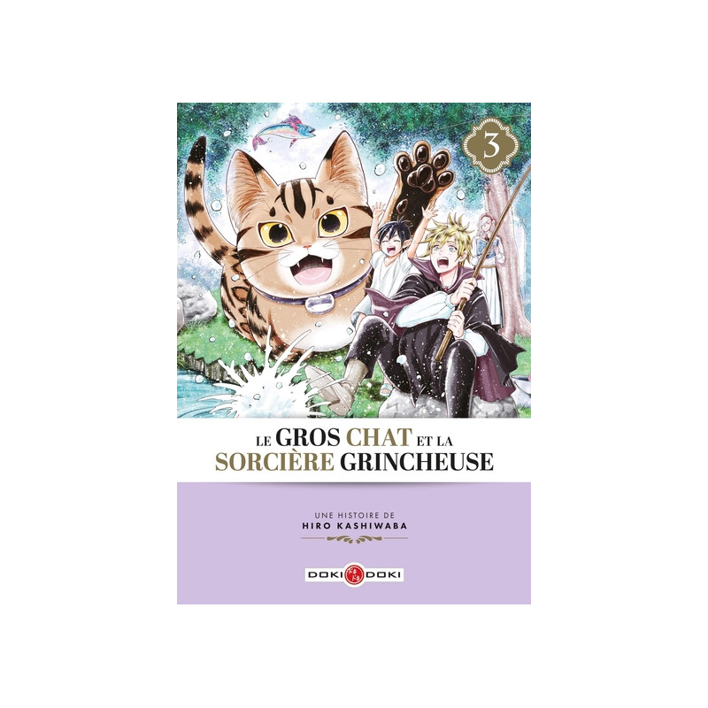 Le Gros Chat et la Sorcière grincheuse - vol. 03