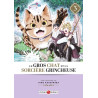 Le Gros Chat et la Sorcière grincheuse - vol. 03