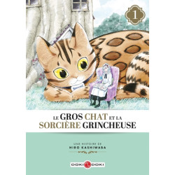 Le Gros Chat et la Sorcière...