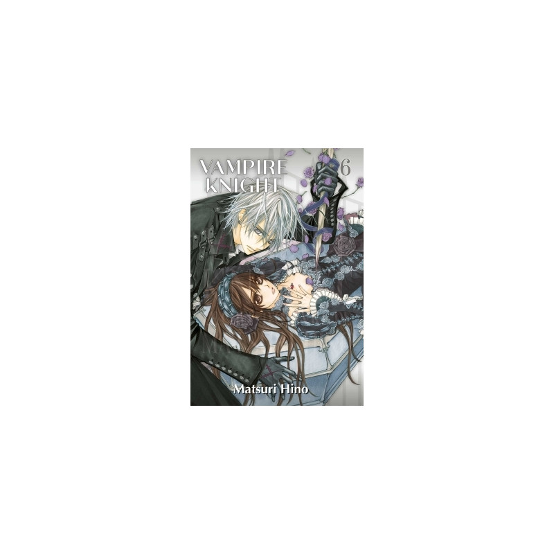 Vampire Knight - Perfect Edition T06