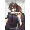 Vampire Knight - Perfect Edition T04