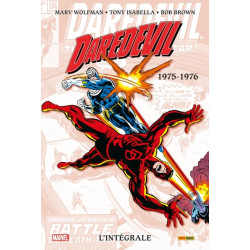 Daredevil : L'intégrale...