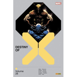 Destiny of X T28