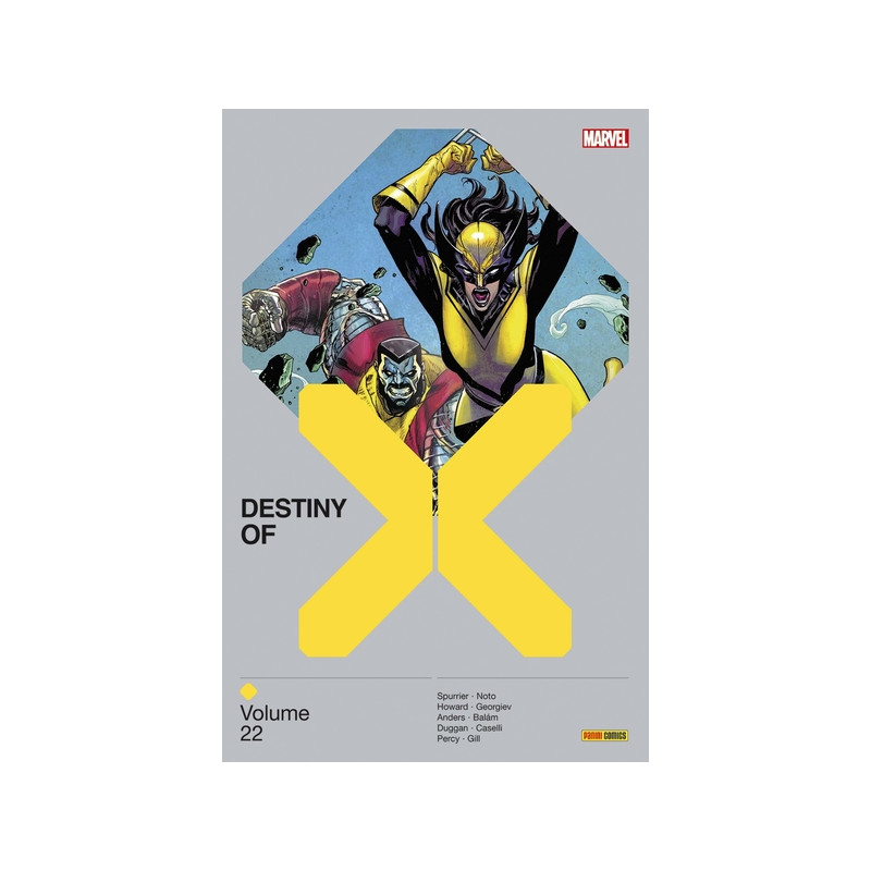 Destiny of X T22