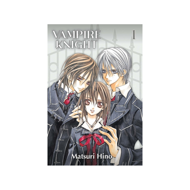 Vampire Knight - Perfect Edition T01