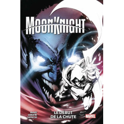 Moon Knight T04 : Le début...