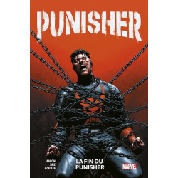 Punisher T03 : La fin du...