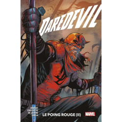Daredevil T02 : Le point...