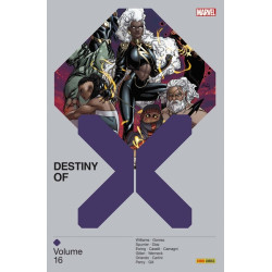 Destiny of X T16