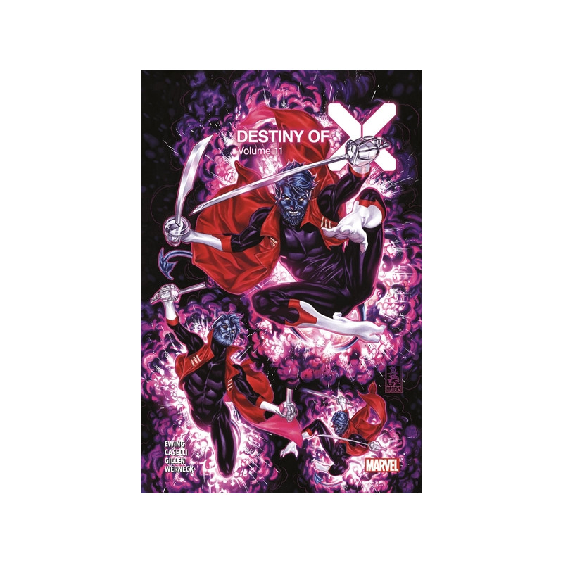 Destiny of X T11 (Edition collector) - COMPTE FERME