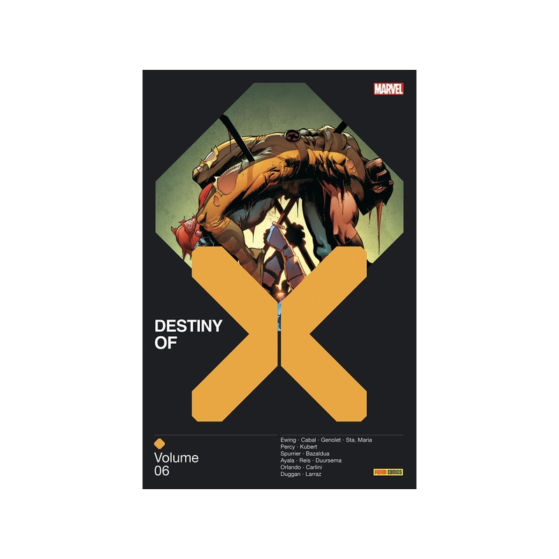 Destiny of X T06