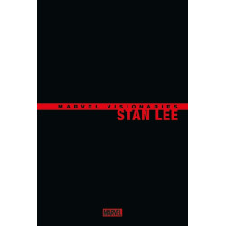 Marvel Visionaries : Stan...