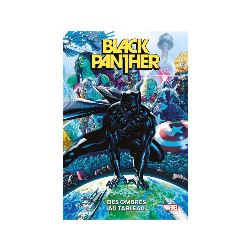 Black Panther T01 : Des ombres au tableau