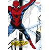 Amazing Spider-Man : À grands pouvoirs (Ed. cartonnée) - COMPTE FERME
