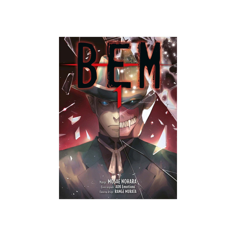 BEM T01