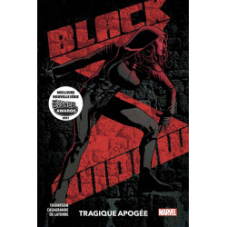Black Widow T02 : Tragique...
