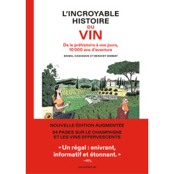 L'Incroyable histoire du...