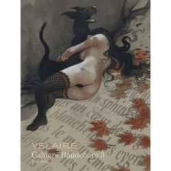 Baudelaire - Cahiers - Tome 3