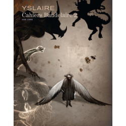 Baudelaire - Cahiers - Tome 2
