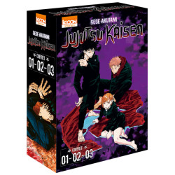 Coffret Jujutsu Kaisen vol....