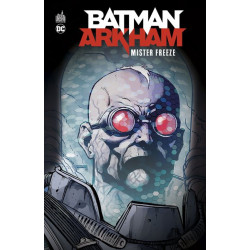 Batman Arkham : Mr Freeze