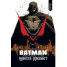 Batman Beyond the White Knight