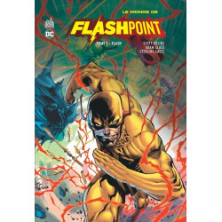 Le Monde de Flashpoint tome...