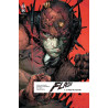 Flash Rebirth  - Tome 4