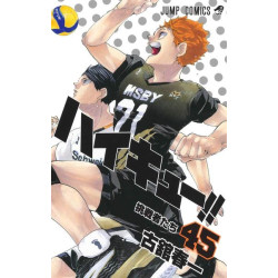 HAIKYU 45 (MANGA VO JAPONAIS)