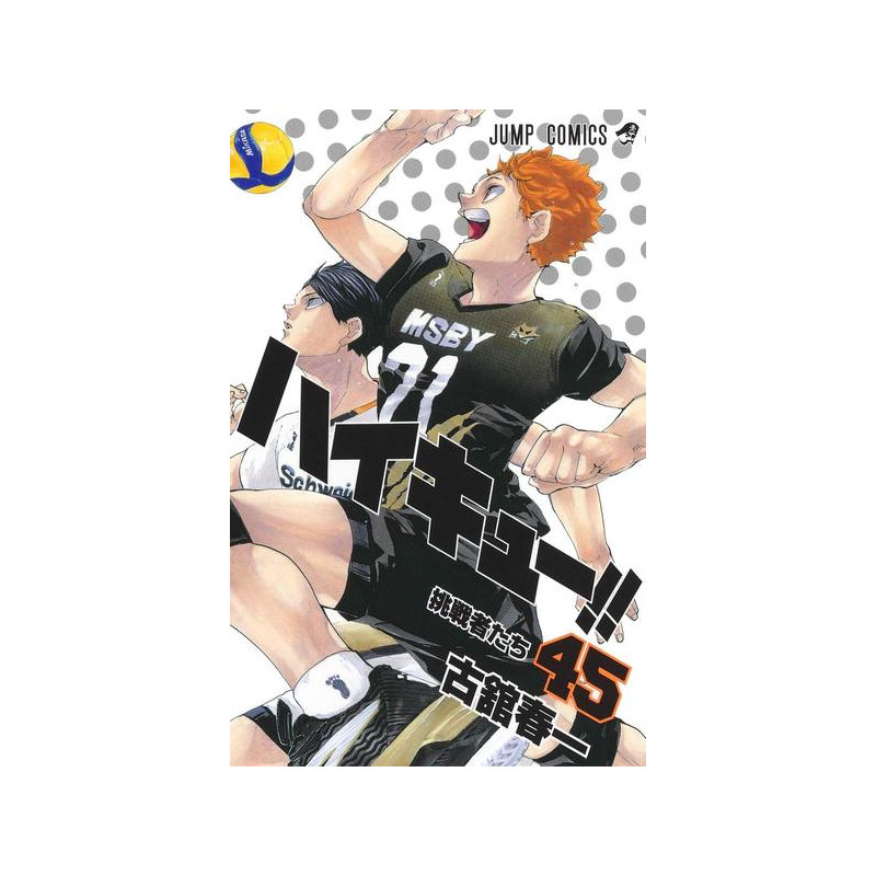HAIKYU 45 (MANGA VO JAPONAIS)