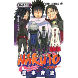 NARUTO 65 (MANGA VO JAPONAIS)