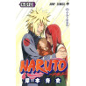 NARUTO 53 (MANGA VO JAPONAIS)
