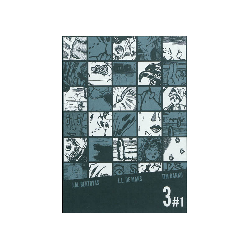 31