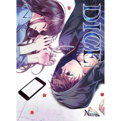DICE - T2