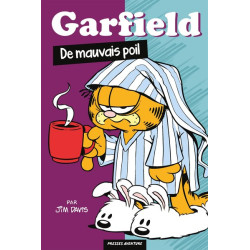 Garfield - De mauvais poil