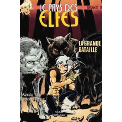 Le Pays des elfes - Tome 17